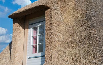 Scleddau thatch roof disadvantages