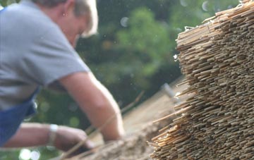 professional Scleddau thatchers