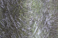 Scleddau fibreglass roof work